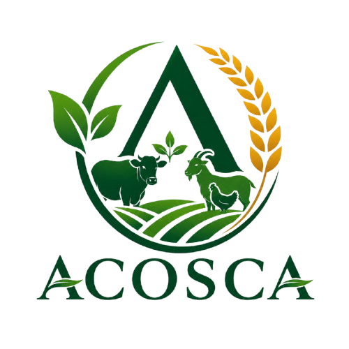 Acosca Logo